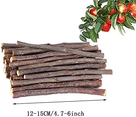 ANDES Natural Apple Sticks, Molar Chew Toys for Rabbit Bunny10oz(300g)
