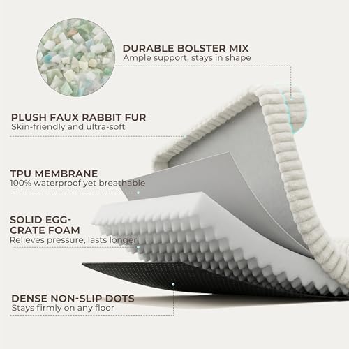 Orthopedic Dog Bed Large 35x25x9.5” Washable Cover Cream