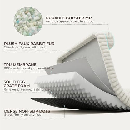 Orthopedic Dog Bed Large 35x25x9.5” Washable Cover Cream