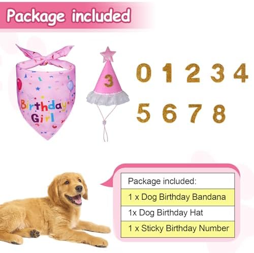 Dog Birthday Bandana Set, Dog Birthday Party Supplies