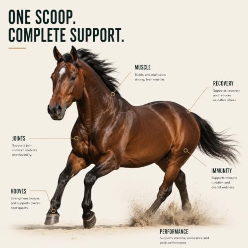 100-Day Supply Horse Joint Supplement Powder - 8 Amino Acids with MSM, Glucosamine & Vitamin E for Muscle, Hoof, Mobility & Recovery - Coat Defense & Weight Gain Supplement, Apple Flavor, 1 Pack