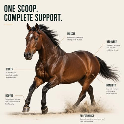 2 Pack 100-Day Supply Horse Joint Supplement Powder - 8 Amino Acids with MSM, Glucosamine & Vitamin E for Muscle, Hoof, Mobility & Recovery - Coat Defense & Weight Gain Supplement, Apple Flavor