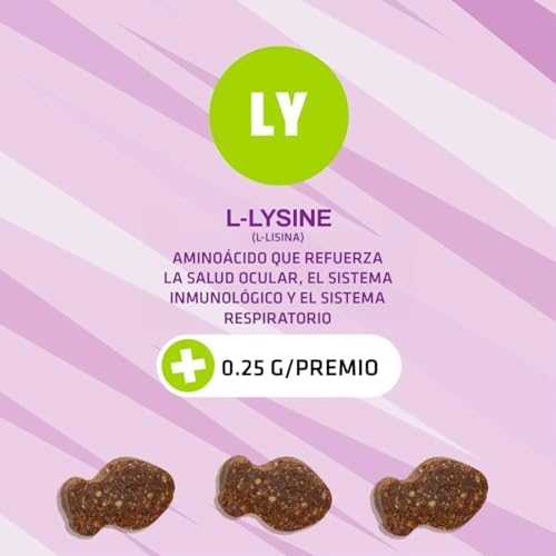 Pet Naturals Lysine for Cats,Chicken Flavor,60 Chews - Immune and Respiratory Support for Cats - No Wheat or Corn - Vet Recommended,(Pack of 2)