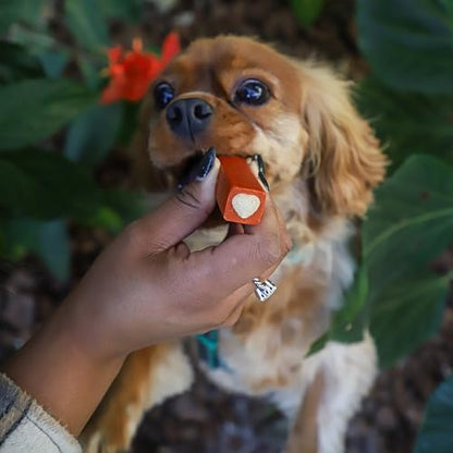 Ark Naturals Protection+ Brushless Toothpaste Chews - Small Breeds (20 ct)
