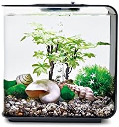 biOrb Decor Set 15L Summer, Multi, Small