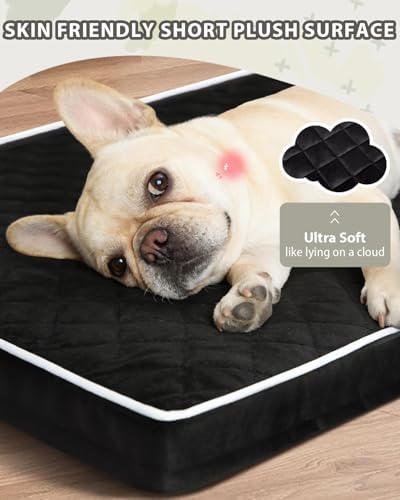 NUPIDA Orthopedic Large Dog Bed for Crate with Washable Cover, 35x22, Black