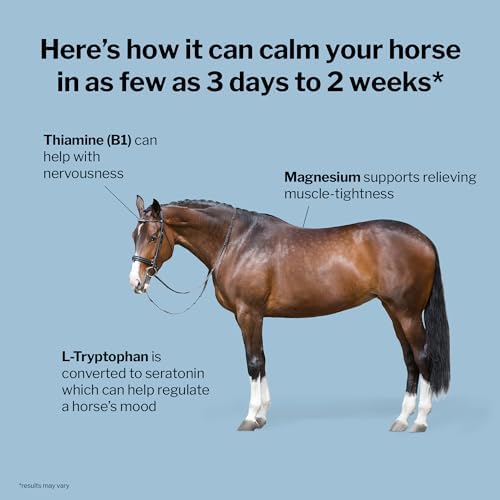 Formula 707 Calming Supplement for Horses, 20 lb, 160 Servings – Focus Aid