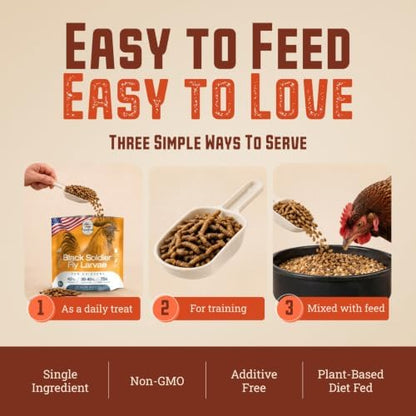 USA-Grown Dried Black Soldier Fly Larvae for Chickens, 1 lb