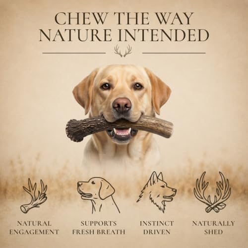WhiteTail Naturals 6 Pack Whole Deer Antlers for Dogs, Small 4-6 Inch