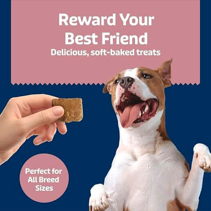 Blue Buffalo Health Bars Chicken & Coconut Soft & Chewy Treats, 9 oz