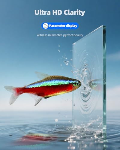 5 Gallon Glass Fish Tank, Ultra-Clear Small Aquarium