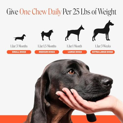 Pet Honesty Advanced Hip and Joint Supplement for Dogs, Bacon, 90 Count