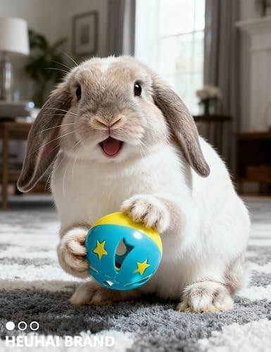 5 Pack Hollow Plastic Play Balls, Assorted Cutout Shapes for Rabbits