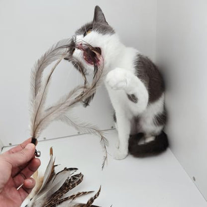 miwoowim 8PCS Natural Unstained Feather Refills for Cat Teaser Wand Toys