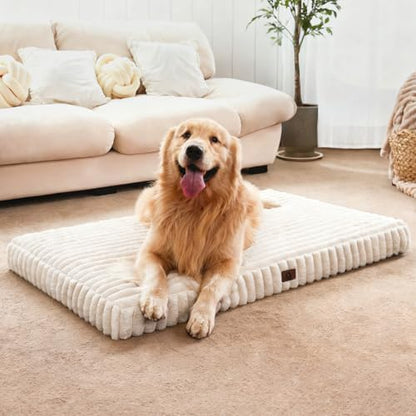 Medium Dog Bed Orthopedic Foam with Waterproof Lining
