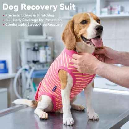 cyeollo Dog Surgery Recovery Suit, Surgical Onesie for Female & Male Dogs