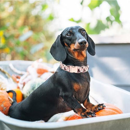 Dog Collars, Halloween Pet Collars Fall Ghost Print Pet Collar Durable Metal Cute Soft Dog Collars Boy Girl Dog Collar Adjustable Collar for X-Small Dogs