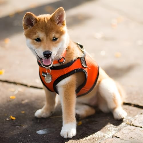 PUPPIA International Puppia Harness Soft B Vest Orange Small