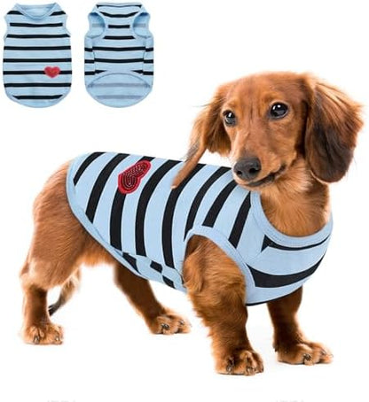 Queenmore Medium Dog Shirt,Soft Breathable Dog Shirt for Dogs Cats Boy Girl,Pet Clothes for All Season,Breathable Lightweight Pet Tshirt for Frenchie, Dachshund, Yorkie