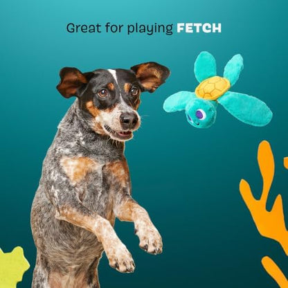 BarkBox Stevie Sea Turtle Dog Toy - Extra Small to Small Dogs