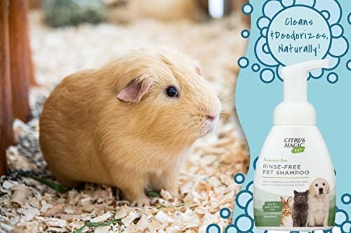 Citrus Magic Pet Rinse-Free Pet Shampoo, 8 Fluid Ounce, 2 Pack