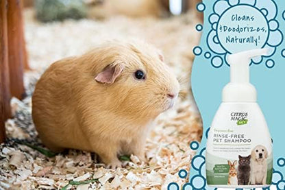 Citrus Magic Pet Rinse-Free Pet Shampoo, 8 Fluid Ounce, 2 Pack