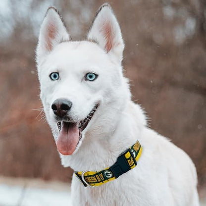Pets First NFL Green Bay Packers Licensed PET COLLAR, Extra Large - Heavy-Duty, Strong, and Durable Dog Collar. Available in 31 Football Teams and 4 Sizes