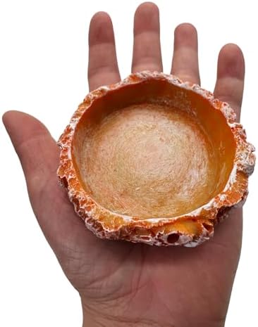3 Pack Small Reptile Food and Water Bowls, Reptile Terrarium Bowls for Bearded Dragon Lizard Frog Gecko Tortoise Hermit Crab Snail (Orange B)
