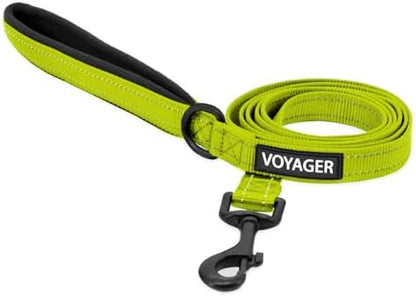 Best Pet Supplies Voyager Nylon Dog Leash - 6ft Lime Green, Large