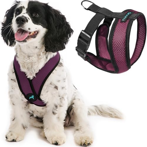 Gooby Comfort X Head-in Dog Harness, Choke-Free, Purple, Medium