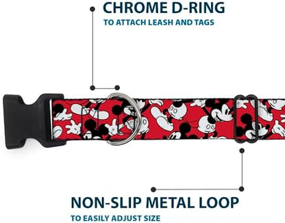 Disney Plastic Clip Dog Collar