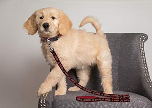 MLB PET Leash, Small, Arizona Diamondbacks Dog Leash, Baseball Team Leash for Dogs & Cats. A Shiny & Colorful Dog & Cat Leash with Emboridered Team Name/Logo Licensed by The MLB