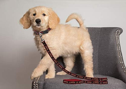 MLB PET Leash, Small, Arizona Diamondbacks Dog Leash, Baseball Team Leash for Dogs & Cats. A Shiny & Colorful Dog & Cat Leash with Emboridered Team Name/Logo Licensed by The MLB