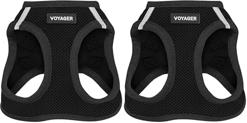 Voyager Step-in Air Dog Harness w/Leash - All Weather Mesh Step in Vest Harness for Small and Medium Dogs by Best Pet Supplies - Black, M (Pack of 2)
