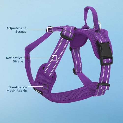 Air Frontier Mesh Dog Harness with Steel Leash D-Ring, Reflective Stitching, and Lightweight Breathable No-Pull Design, Adjustable Neck and Chest Straps for Small to Large Breeds - PPW, XS