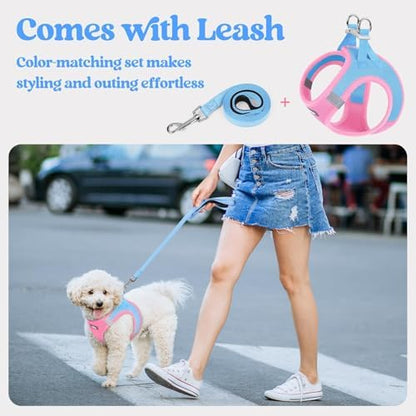rabbitgoo Dog Harness Small Sized and Leash Set, Step-in Puppy Pet Vest