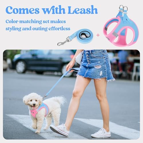 rabbitgoo Dog Harness Small Sized and Leash Set, Step-in Puppy Pet Vest