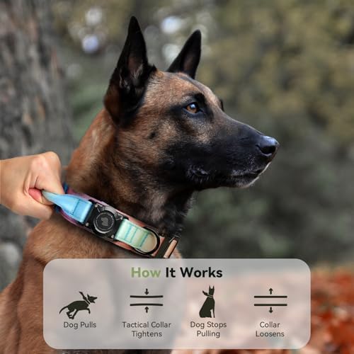 2026 Upgrade Waterproof Tactical AirTag Dog Collar, Built in AirTag Holder