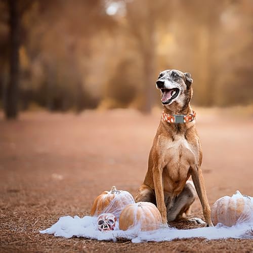 Dog Collars, Halloween Pet Collars Fall Dog Orange Ghost Print Pet Durable Metal Collar Cute Boy Girl Dog Collars Adjustable Puppy Collar for X-Small Dogs