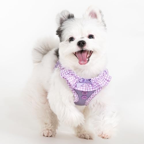 Puppia Vivien Dog Vest Harness B (Step-in) Fashionable Mesh Spring Summer Harness for Small Dogs, Violet, Medium