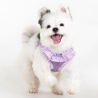 Puppia Vivien Dog Vest Harness B (Step-in) Fashionable Mesh Spring Summer Harness for Small Dogs, Violet, Medium