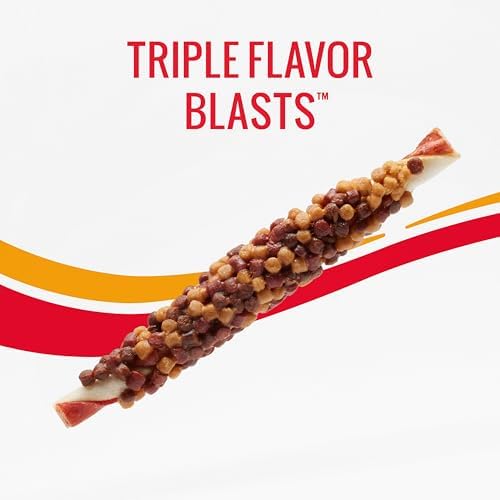 GOOD 'N' FUN Blasts Long-Lasting Dog Treat Made with Real Protein, 12 oz