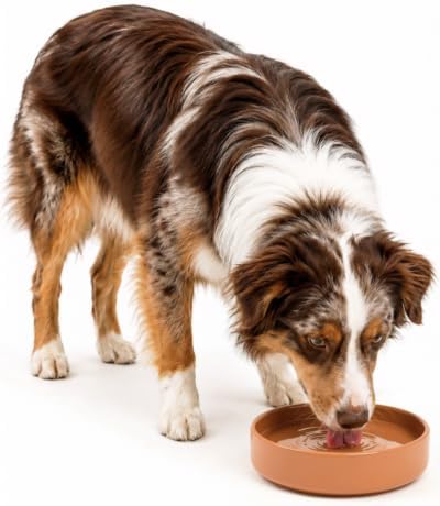The Perfect Dish - Silicone Dog Bowl for Food & Water,7.5"x2.25"-Terracotta