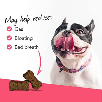 VetriScience Gut Health Chews for Dogs, Duck, 45 Count
