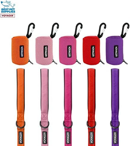 Best Pet Supplies Dog Poop Bag Holder Leash Attachment with Reusable Dispenser for Travel, Walking, Park, and Outdoor Use, Durable with Clip-On - Red, Pack of 2, Mesh Dispenser w/30 Bags