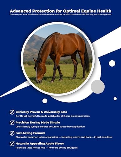 Equine Paste Gel 1.87% – Apple Flavored Oral Gel for Horses – 6.08g Pre-Filled Syringes with Weight Markings – 3-Pack Convenient Supply