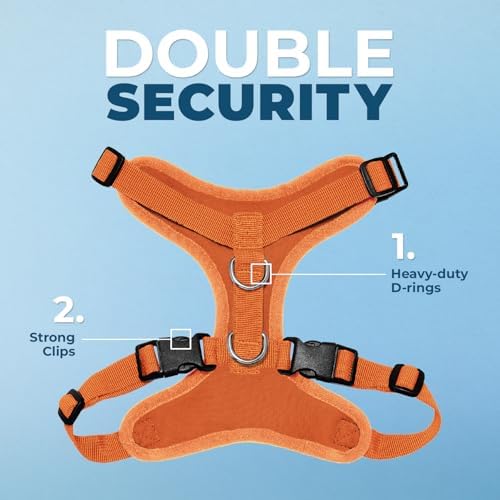 Best Pet Supplies Voyager Step-in Lock Pet Harness w Reflective Pet Leash Combo Set with Neoprene Handle 5ft - Supports Small, Medium and Large Breed Puppies/Cats - Orange Set, XL