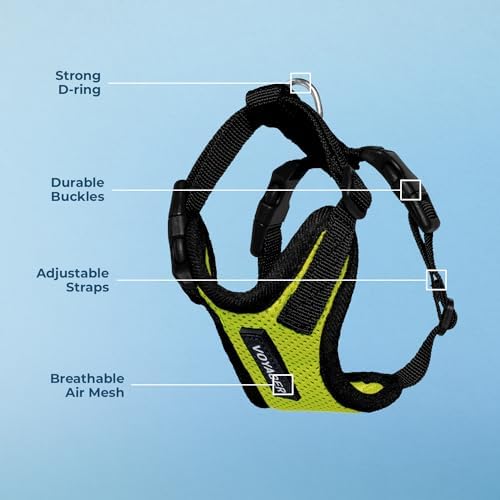 Voyager Step-in Lock Dog Harness - Lime Green/Black Trim, Large