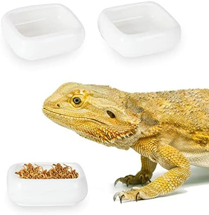 Ceramic Reptile Food Bowls, Reptile Water Food Dish, White, Small 2 Pack