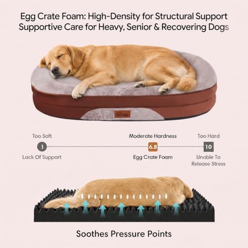Orthopedic Dog Bed for Large Dogs, Washable Dog Bed, 35" L, Brown